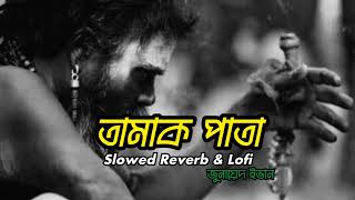 Tahmak pata Lofi amp Reverb  তামাক পাতা  Zunayed Evan Ashes  ashes lofireverb [upl. by Jami]