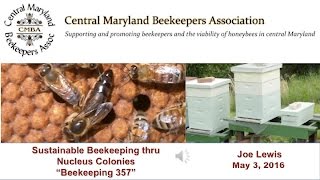 Sustainable Beekeeping thru Nucleus Colonies quotBeekeeping 357quot [upl. by Chien]