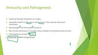 Aspergillus [upl. by Johanan]