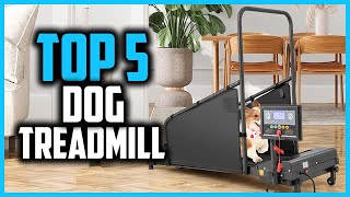 ✅ 5 Best Dog Treadmill in 2024 [upl. by Held]