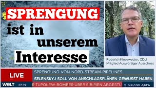 Kiesewetter CDU Nord StreamSprengung ist in unserem Interesse [upl. by Cohin]