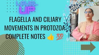 FLAGELLA AND CILIARY MOVEMENTS IN PROTOZOA🎯👉Describe brieflyMscBscUGC💯👍✅ [upl. by Lory830]