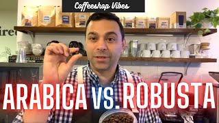 Arabica vs Robusta Coffee Differences amp Tasting Profiles [upl. by Portuna]