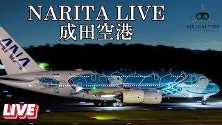 LIVE TOKYO NARITA AIRPORT20240903成田空港ライブ配信 [upl. by Ilyk]