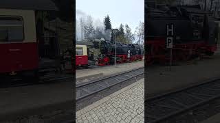 Harzer Schmalspurbahn  Historische Dampflok und Zug  Schierke  April 2024 [upl. by Giselle989]