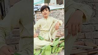 Teno mosam myn muqabala chal rha he 🌦🌬🌞 ytshortsvideo funny newfunnyvide [upl. by Yrbua]