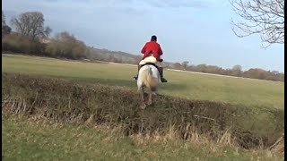 Alice amp Defender take on The Ledbury Hunt Murrells End Meet 9th January 2015 [upl. by Hsina79]