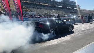 2003 Cobra Terminator burnout at Sonoma Raceway  Raceworz [upl. by Franky]