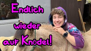 Endlich wieder Bae reiten 😍😍😍 Adventskalender Tür 2 [upl. by Gnemgnok44]