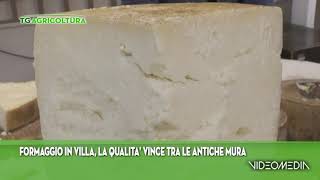 GREENNEWS FORMAGGIO IN VILLATGAG20240413 [upl. by Goat565]