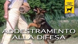 ADDESTRAMENTO ALLA DIFESA E PISTA trailer documentario cani e cinofilia [upl. by Nrublim281]