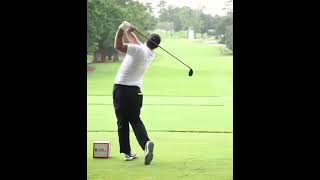 Professional Golfer’s Swings golf golfswing [upl. by Nibroc]