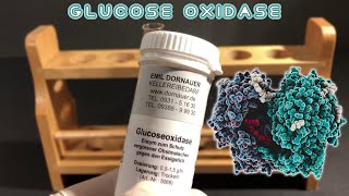 Two experiments with glucose oxidase glucoseoxidase [upl. by Norrat73]