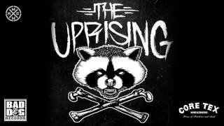 THE UPRISING  SALVATION NOT DECAY  ALBUM STDOWN WE GO OFFICIAL HD VERSION HCWW [upl. by Lednik]