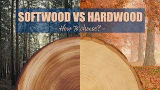 Softwood vs Hardwood  How to choose for WOODWORKING projects [upl. by Ynnaffit]