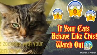 Sgns That Your Cat Wants To Talk To You Watch this [upl. by Popelka438]