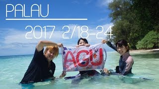 愛知学院大学スキューバダイビング部 パラオツアー in PALAU  GoPro [upl. by Ostler]