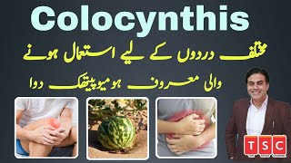 Pain killer Colocynthis  Symptoms  How to use  Homeopathic Medicine  Urdu  Hindi [upl. by Aernda718]