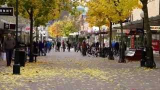 Höstfärger i Söderhamns centrum oktober 2014 [upl. by Ardnat]