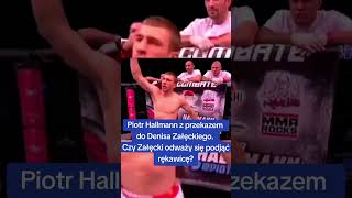 Hallmann wiadomość do Denisa Załęckiego 💥 freak [upl. by Airdnek]