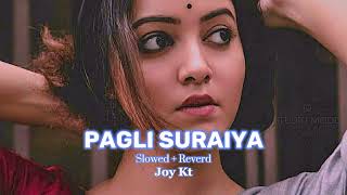 Pagli Suraiya  Slowed  Reverd  Liza  Arfin Rumey  Robiul Islam Jibon  Use Headphone 🎧 [upl. by Scevor]