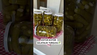 KAYNAR SU İLE KÜTÜR KÜTÜR SALATALIK TURŞUSU🥒💯 turşutarifleri salatalıkturşusu [upl. by Lathe]