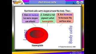 KCSE 2024 BIOLOGY CIRCULATION FORM 4 REVISION PAPER [upl. by Gelhar614]