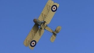 WW1 Dogfight Fokker DVII vs Bristol Fighter F2b [upl. by Melisenda]