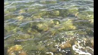 Beadnell Bay Welcome [upl. by Suiremed]