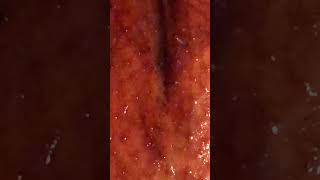 Grilled Barbarie Entenbrust tassimmokitchen yummy lecker tastyrecipes [upl. by Lacram421]