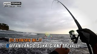 Light Shore Jigging  Akhirnya Setelah Sekian Purnama Bisa Strike lagi ikan GT  Land base fishing [upl. by Steele559]