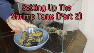 Setting Up The Shrimp Tank Part 2 [upl. by Anawqahs765]