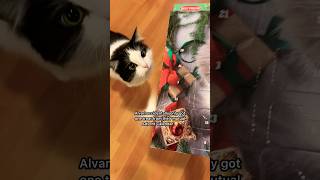 Mauri doesn’t like sharing 😅 mauriandcucumbers cat ragdoll [upl. by Joashus]