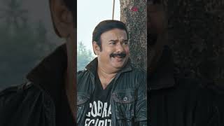 Watch 👆 Cobra Movie Scenes cobra mammootty lal padmapriya kaniha salimkumar siddique shorts [upl. by Vanda119]