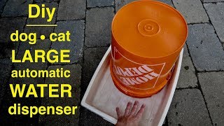 Diy ● 5 Gallon DOG Water Station [upl. by Alikat]