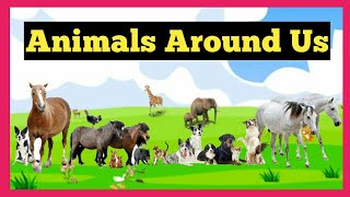 Animals Around Us  Different Types of Animals  ICSE  CBSE  Grade 1 [upl. by Davida]