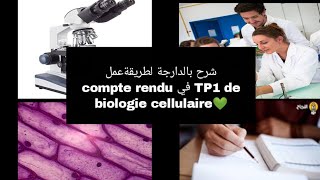 شرح بالدارجة لطريقة عمل compte rendu في TP1 de biologie cellulaire سنة اولى تخصص بيولوجي L1 Snv s1 [upl. by Gorlicki]