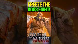 How To FREEZE the BOSS FIGHT on Citadelle Des Morts USE ASAP [upl. by Atteloj326]