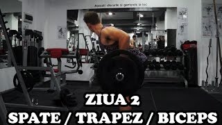 Spate  Trapez  Biceps  Ziua 2  Program incepatori [upl. by Knowling]