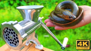 Experiment MEAT GRINDER vs EEL FISH CATFISH [upl. by Eikcin]