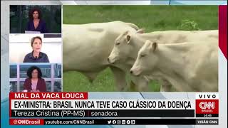 Entrevista CNN  Mal da Vaca louca no Brasil [upl. by Hahnke]