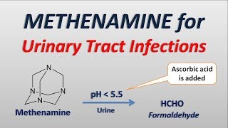 Methenamine for Urinary tract infections [upl. by Ehtyde]