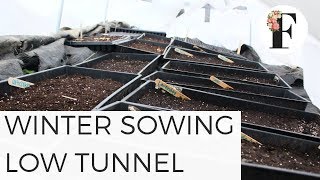 WINTER SOWING USING A UNHEATED GREENHOUSE  POLYTUNNEL  LARGE SCALE SEED STARTING [upl. by Netloc]