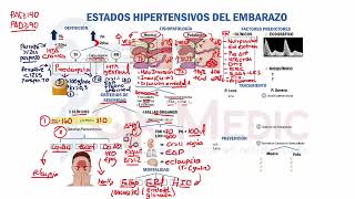 MAPA MENTAL PREECLAMPSIA QX MEDIC RM 2020 [upl. by Lauren]