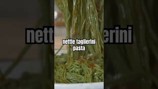 Cicci makes nettle taglierini pasta pasta freshpasta nonna [upl. by Atiuqahs794]