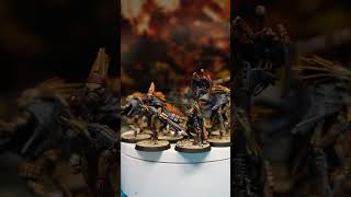 Kroot Test Models Warhammer 40K [upl. by Amyas]