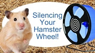 Silencing Your Hamster Wheel [upl. by Desdamonna]