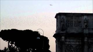 Thousands of European Starlings at the Roman Colosseum Arch of Constantine Rome [upl. by Magnolia]