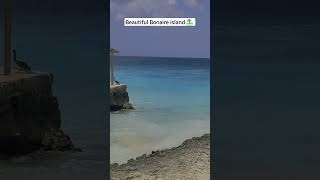 Journey to Bonaire Island A 30Second Sneak Peek into Paradise traveller ⛱️ [upl. by Frederique]