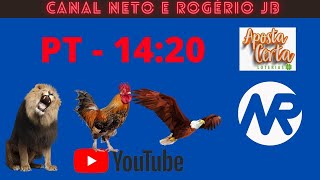 RESULTADO AO VIVO ROGERIO E NETO JB  PT  21112024 [upl. by Pals427]